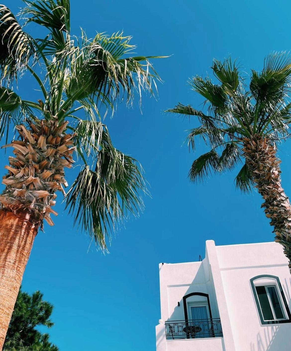Yalinn Boutique Hotel Yalıkavak Dış mekan fotoğraf