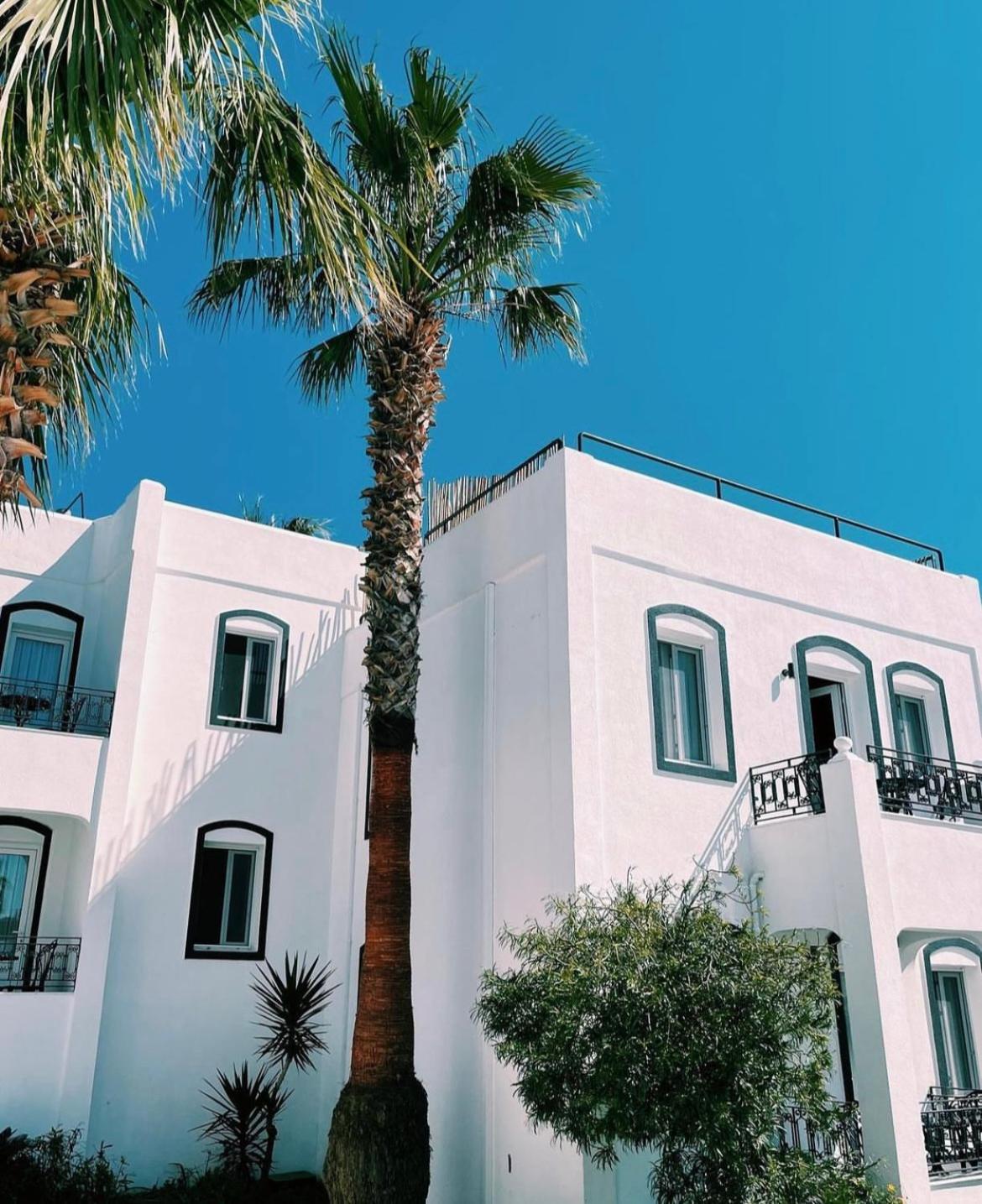 Yalinn Boutique Hotel Yalıkavak Dış mekan fotoğraf
