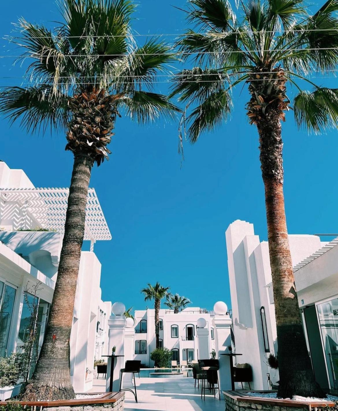Yalinn Boutique Hotel Yalıkavak Dış mekan fotoğraf